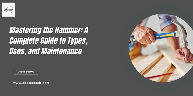 Everything You Should Know About Hammers